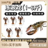 波士頓龍蝦大龍蝦波龍波蝦澳龍網(wǎng)紅海鮮水產(chǎn)食材鮮活速凍冷凍熟凍